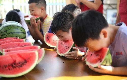 农村小镇吃瓜比赛,农村小镇的欢乐吃瓜盛宴