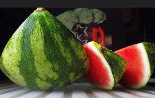 宠尤吃瓜,揭秘娱乐圈背后的那些事儿