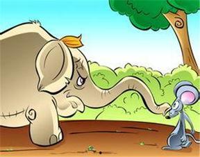 小老鼠偷瓜吃,一场趣味盎然的田园冒险