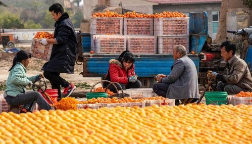 运城最新吃瓜事件新闻,真相揭秘引网友热议