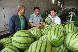 运城最新吃瓜事件新闻,真相揭秘引网友热议