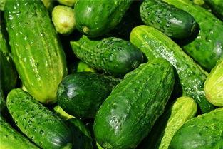 梦见吃大红瓜,揭秘梦中大红瓜的神秘寓意