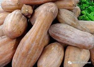 方瓜咋吃,方瓜咋吃，美味无限