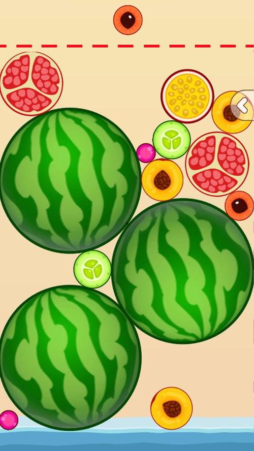 抖音吃瓜会,揭秘热门事件背后的真相与笑料