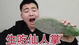 小黄嘴哥吃瓜,揭秘娱乐圈那些不为人知的幕后故事