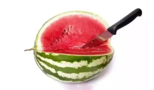 怎样吃瓜显高端