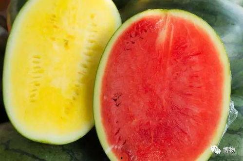 怎样吃瓜显高端