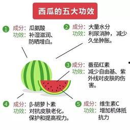 吃瓜炫酷图片大全,捕捉夏日清凉风采